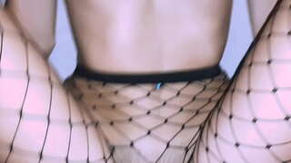 Stepsister arraio oilarra handi iluntasunean