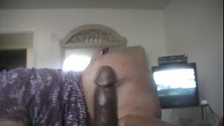 Ǻ�控制动贝蒂吸取和舔老二直到它干