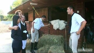 שוואַרץ אַנדזשעליקאַ לוסי בעל - טאָפּל באַרען פון הייס טאָכעס